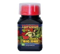 Top Crop Big One 250 ml - Estimulador de Floración | Extractos de Algas | Aumenta Volumen de Flores y Frutos | (250 ml)