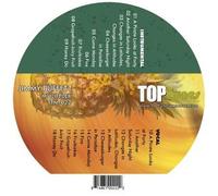 Top Tunes M Series Multiplex Karaoke CDG TTM -022 (US Import)