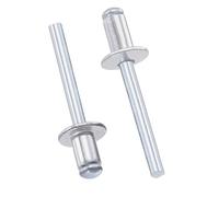 TOP-VIGOR Remaches ciegos de aluminio de 6 mm x 10 mm, remaches plateados para fijación de metal, remaches ciegos de extremo abierto para bricolaje, muebles y reparaciones generales, paquete de 25