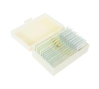 TOPBATHY 10 Piezas Diapositivas Preparadas de Microscopio para Juego Especímenes para Clases de Biología Educativas y Divertidas