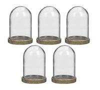 TOPBATHY 5 Juegos Cúpula de Vidrio Creativa para Plantas con Base de Latón y Vidrio Transparente, Kit DIY de 5 Micro Paisajes para Decoración en Estantes