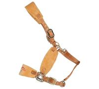 TOPBATHY Cabestro Ajustable para Caballo Grande L Color Amarillo Cuerda Trenzada de Polipropileno Suave Equipo Práctico de Entrenamiento Ecuestre Correas Resistentes para Uso Diario y