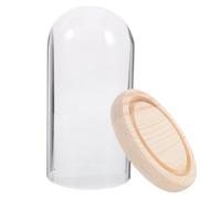 TOPBATHY CúPula De Cristal Transparente 7.5X4.3 Pulgadas Para Rosa Eterna Natural Preservada Con Base Cubierta Decorativa Para Micro Paisajes Y Flores Preservadas En Hogar