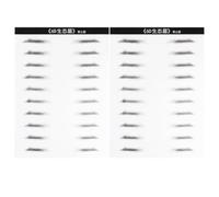 TOPBATHY Parche Adhesivo para Cejas 6D Resistente al Agua 10 Pares para Hombres Aspecto Realista de Vello Herramienta de Maquillaje para Cejas Fácil Aplicación y Uso Diario