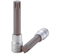 Topbits ribe 08 m122708-c