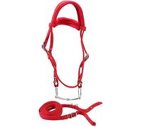 TopHomer Brida de Filete de Caballo con rienda, arnés de Cabestro de Caballo Ajustable Rojo, Cabezas de Caballo, Broca de Caballo con cojín Suave para Caballo (Grande, Rojo)