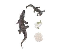 Topiky Conjunto de Modelos de Ciclo de Vida de Crecimiento Animal: Figuras de Animales de Reptiles de PVC de Educación Temprana para Niños, Juguete Biológico Realista, Ayuda Didáctica para el Aula,