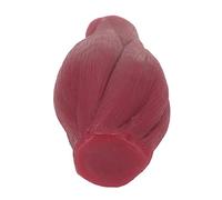 Topiky Modelo de Réplica de Músculos del Cuerpo Humano, Textura Realista, Modelo de Réplica de Músculos de Plástico de 1 Libra, de para Nutricionista, Educación Física