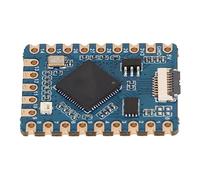 Topiky Placa de Desarrollo Pequeña RP2040, con Procesador RP2040 Dual Core Arm Cortex M0, 8 IO Programable, Adaptador de Puerto USB C, Kit de Placa de Desarrollo para Principiantes