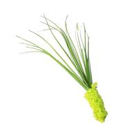 TOPINCN 5 Piezas de Juguete de Varita de Gato de Hierba Pequeña, Alta Simulación Verde Amarillo Cola de Caña Forma de Hierba Teaser para Gatos, Juguete Interactivo para Mascotas para (Green)