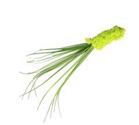 TOPINCN 5 Varitas de Gato de Hierba de Caña Simulada, de Alta Simulación, Cola de, Hierba, Gato, con Punta de Felpa Suave y Varilla Flexible, Juguete Interactivo para Aliviar el Estrés (Green)