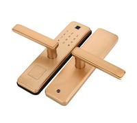 TOPINCN Cerradura de Puerta con Tarjeta IC con Contraseña de Huella Digital Inteligente para Seguridad en el Hogar, Desbloqueo de Contraseña Virtual para Alojamiento en Familia, Color de Aleación de