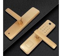 TOPINCN Cerradura de Puerta con Tarjeta IC con Contraseña de Huella Digital Inteligente para Seguridad en el Hogar, Desbloqueo de Contraseña Virtual para Alojamiento en Familia, Color de Aleación de