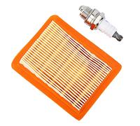 TOPINCN Filtro de Aire Bujía, Kit de Servicio Filtro de Aire + Bujía para Desbrozadoras Stihl FS120 FS200 Y FS250 BT120 BT121 FR350 FR450 FR480 FS120 FS200 FS250