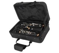 TOPINCN Juego de Clarinete de 17 Teclas, Clarinete en Sib de con Kit de Limpieza para Estudiantes, Tamaño Compacto, Fácil de Mantener (BLACK)