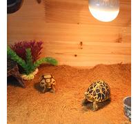 TOPINCN La Estera de Reptil de Fibra Absorbe La Humedad para Lagartos, Tortugas, Gran Formato para Arquitectura del Paisaje Decoración del Cojín Mascotas