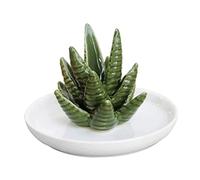 TOPINCN Plato de Soporte de Anillo de Cerámica de Aloe, Soporte de Joyería, Anillos, Pulseras, Pendientes, Bandeja de Baratija Suculenta Verde, Regalo para Mujeres y Niñas