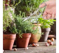 TOPINCN Tijeras para Bonsái de Acero Inoxidable, Tijeras de Podar Ergonómicas para Uso en Jardín, 185 Mm, Compactas y Ligeras