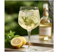 Topkapi Gin Momento Vaso para Ginebra, ~63 cl (~630 ml)