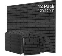 Topnaca Paneles acústicos de espuma acústica, 12 unidades, 30,5 x 30,5 x 2,5 cm, aislamiento acústico de pared, para estudio de grabación, podcasts, salas de Youtube