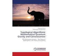 Topological Algorithmic Mathematical Quantum Gravity and Consciousness: The Information Universe - The Theory of Nothingness is the Theory of Everything