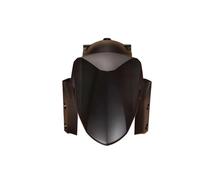 TOPOLVLCKC Guardabarros Delantero Y Trasero Motocicleta Para 650 2015-2020, Nuevos Accesorios Protector contra salpicaduras de motocicleta(Matte Black(Front))