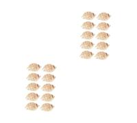 TOPPERFUN 2 Series Espécimen De Concha Conchas Decoración Largo Decoraciones De Peceras Decoraciones De Paisajismo De Pecera Práctica Caracola para Pecera 10 Piezas*2