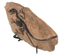 TOPPERFUN Modelos de Dinosaurios Resina Superficie Suave, Adorno Decorativo para Cumpleaños y Colección de Fósiles Realistas