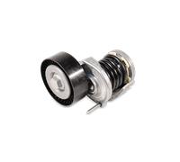 TOPRAN 115 108 Brazo tensor, correa poli V
