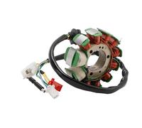 Topteng 11-Pole Stator Generator 31120-H9A-000 31120-H9A-001 Apto para SYM (Sanyang Motor) Joyride HD 125 150 200 EVO