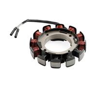 Topteng Charge Coil 17A 31630-Z6L-003 Apto para Honda GX630 GX630R GX630RH GX660 GX660R GX660RH GX690 GX690H GX690R GX690RH GXV630R GXV630RH GXV660R GXV660RH GXV690R GXV690RH