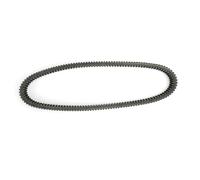 Topteng Drive Belt 417300069 415045000 Apto para Ski-Doo Formula III 600/700 1998, Grand Touring 700 1998, Mach I 700/R 1998, Mach Z 1998