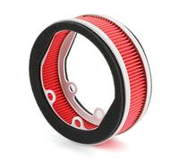 Topteng Fit Filtro de Aire Apto para Yamaha XC 155 SMAX Majestad S HW 125 151 Xenter 2012-2020