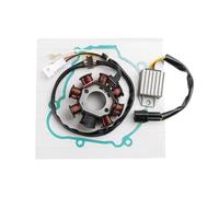 Topteng Ignition Stator Regulator & Gasket Apto para Beta RR 250/300 2T 2013-2023, RR 250/300 Racing 2T 2014-2022, X-Trainer 250/300 2T 2017-2022, RR 300 Holcombe Replica 2T 2019