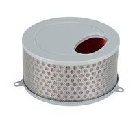 Topteng New Air Filter Apto para Daelim Daystar 125 VL125 VL 125 Replacement 17213-BA1-0000