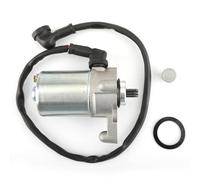 Topteng Starter Motor Apto para Yamaha DT 125 R 1991-1996, DT 125 RH/RN 1997-2003, DT 125 RE 2004-2007, DT 125 X 2005-2006, DT 125 RE MX 2006, TDR 125 H/N 1997-2001, TZR 125 1997-1999, TDR 125 93-96