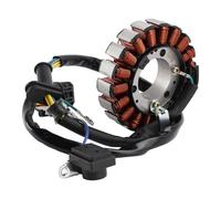 Topteng Stator Generator 31120-169-001 Apto para Adly ATV 300U II, 300XS Assault, 300 Hurricane/Interceptor/Crossroad/Crossover/Sport/Utility, Apto para Beeline ATV Bestia 300 onroad/Offroad