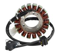 Topteng Stator Generator D402 31120-LBA2-E00 31120-LDG7-900 apto para Kymco Xciting 500 4T E2 2004-2006, 500i 4T E3 2007-2009, 500 Ri 4T E3 2007-2010, 500 Ri ABS 4T E3 2007-2016