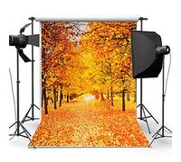 Topwa C Fondo de vinilo para fotografía de hojas de otoño, otoño, otoño, otoño al aire libre, colorido, hojas caídas, fondo de estudio de fotografía, suministros de decoración para fiestas de
