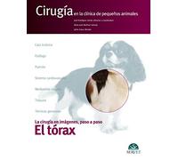 Tórax, El. Cirugía en la clínica de pequeños animales