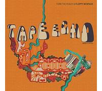 Torb the Roach & Floppy Mcspace - Tape Echo: Gold Floppies [Vinilo]