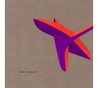 Torben Snekkestad - Conic Folded