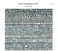 Tord Gustavsen Trio – Seeing – SHM-CD