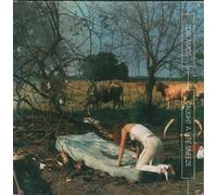 Tori Amos - Caught a Lite...