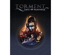 Torment: Tides of Numenera GOG.COM Key GLOBAL