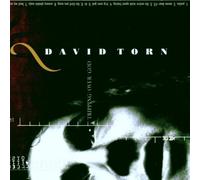Torn,David - Tripping Over God [Import]