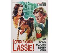 Torna A Casa Lassie [Italia] [DVD]