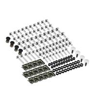 Tornillo Accesorios Kit De Tornillos para Carenado Parabrisas Motocicleta para Ducati 748 749 750SS 848 900SS 916 996 998 999 1098 1098S Panigale Piezas Modificadas para Motocicletas(Silver)