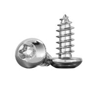 Tornillo autorroscante de cabeza plana redonda de acero inoxidable 304, Torx, de seguridad antirrobo(6mm)