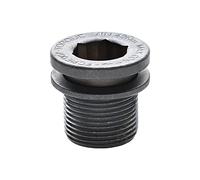 Tornillo Bielas Campagnolo Ultrat. Titan.Rosca Izq